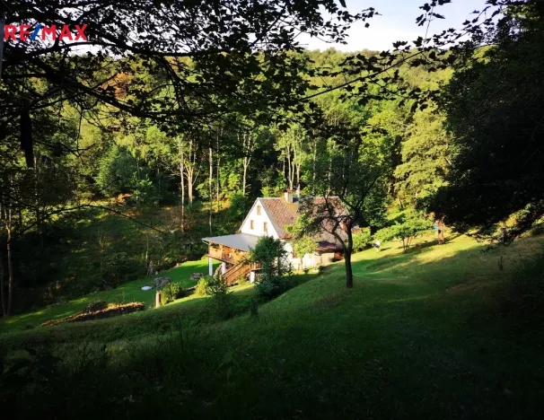 Prodej chalupy, Stráž nad Ohří - Srní, 300 m2