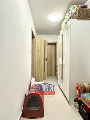 Pronájem bytu 3+kk, Včelná, Lesní kolonie, 86 m2