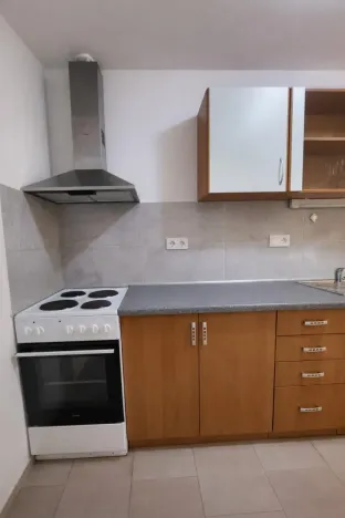 Pronájem bytu 1+1, Praha - Nusle, Družstevní, 38 m2