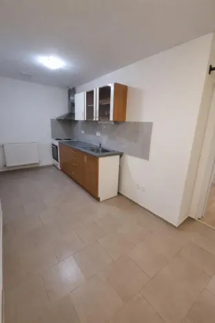 Pronájem bytu 1+1, Praha - Nusle, Družstevní, 38 m2