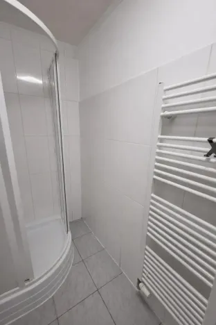 Pronájem bytu 1+1, Praha - Nusle, Družstevní, 38 m2