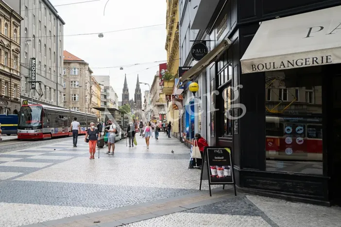 Prodej bytu 2+1, Praha - Vinohrady, Lublaňská, 64 m2