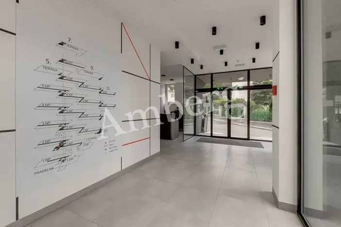 Pronájem bytu 1+kk, Praha - Vinohrady, Perucká, 26 m2