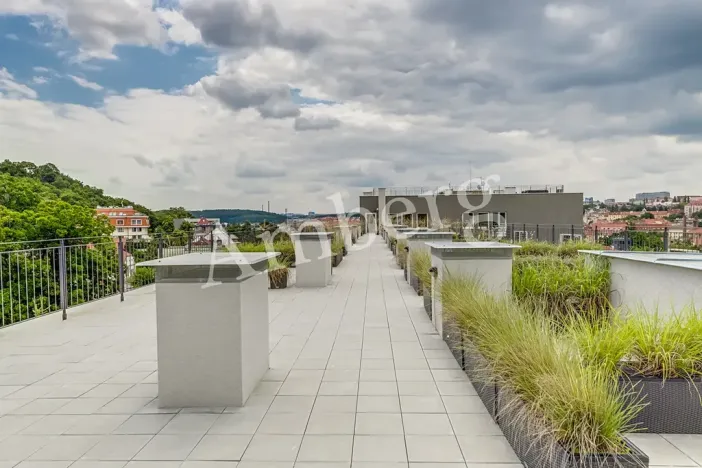 Pronájem bytu 1+kk, Praha - Vinohrady, Perucká, 26 m2