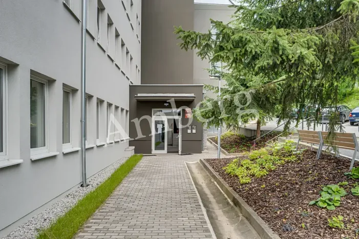 Pronájem bytu 1+kk, Praha - Vinohrady, Perucká, 26 m2