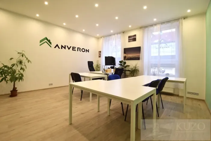 Pronájem kanceláře, Plzeň, Jagellonská, 26 m2