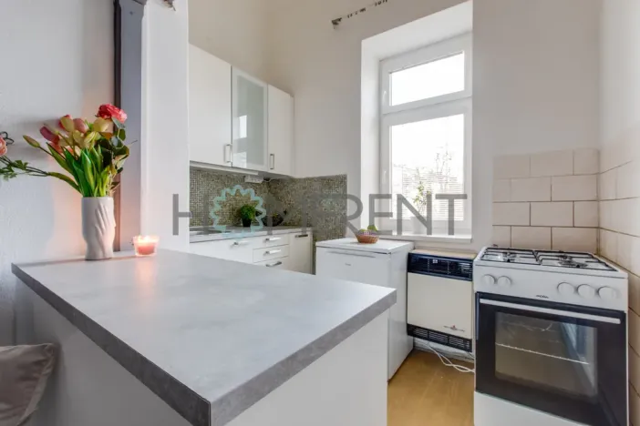 Pronájem bytu 1+1, Praha - Vršovice, Petrohradská, 37 m2