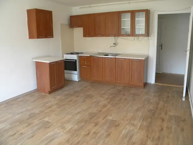 Pronájem bytu 2+kk, Brno, Hostinského, 54 m2