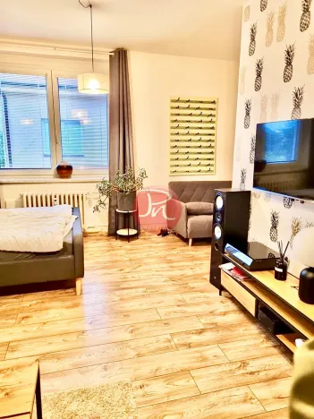 Pronájem bytu 1+1, Ostrava, Garážní, 40 m2