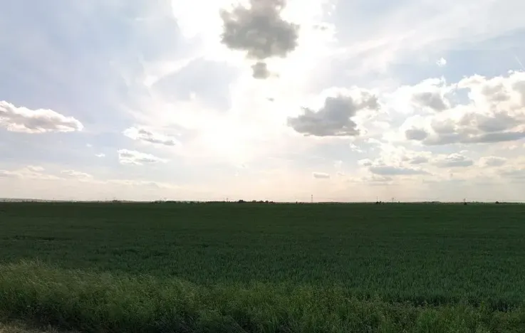 Prodej podílu pole, Vykáň, 38867 m2