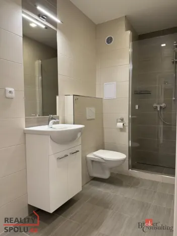 Pronájem bytu 1+1, Opava - Předměstí, Polní, 35 m2