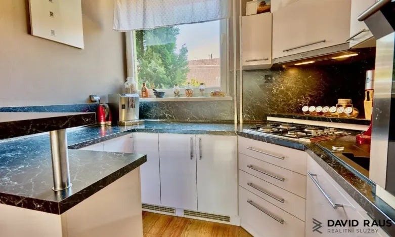 Prodej rodinného domu, Blučina, ul. 9. května, 219 m2