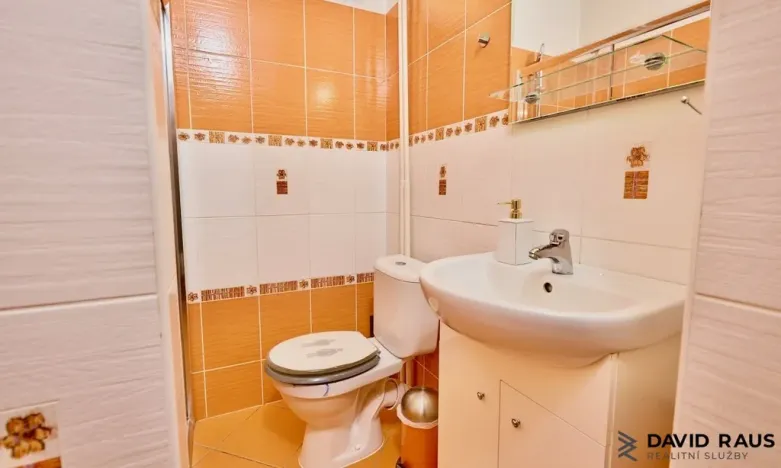 Prodej rodinného domu, Blučina, ul. 9. května, 219 m2