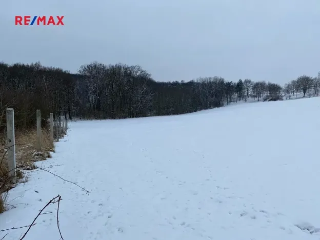 Prodej podílu pole, Bořanovice, 3949 m2