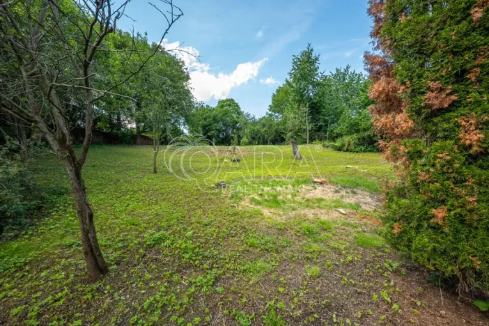 Prodej rodinného domu, Husinec, Jeronýmova, 350 m2