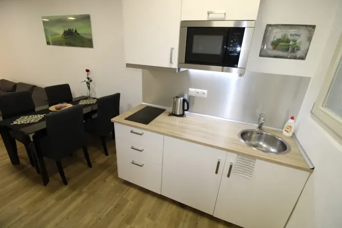 Pronájem bytu 1+kk, Praha - Nové Město, Opletalova, 35 m2