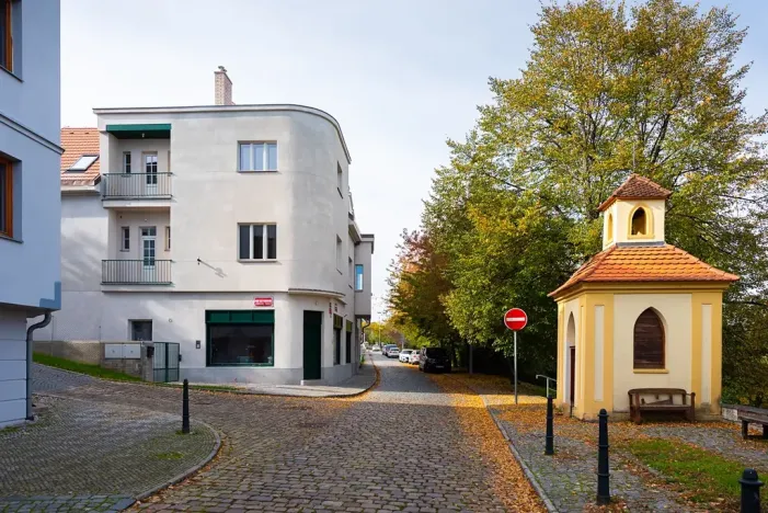 Prodej bytu 5+kk, Praha - Střešovice, Pod bateriemi, 193 m2