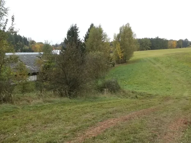 Dražba pozemku pro bydlení, Vidochov, 4068 m2