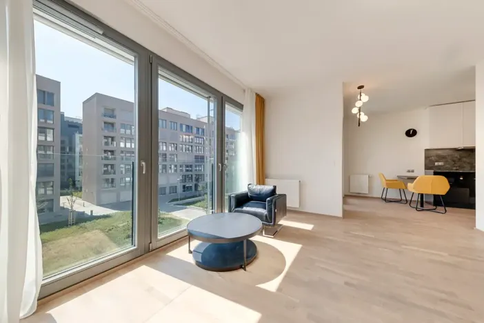 Pronájem bytu 1+kk, Praha - Karlín, Breitfeldova, 40 m2