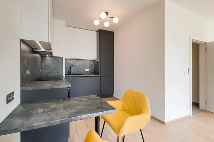 Pronájem bytu 1+kk, Praha - Karlín, Breitfeldova, 40 m2