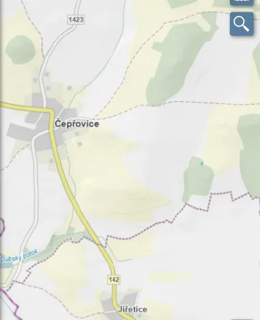 Prodej lesa, Čepřovice, 193 m2