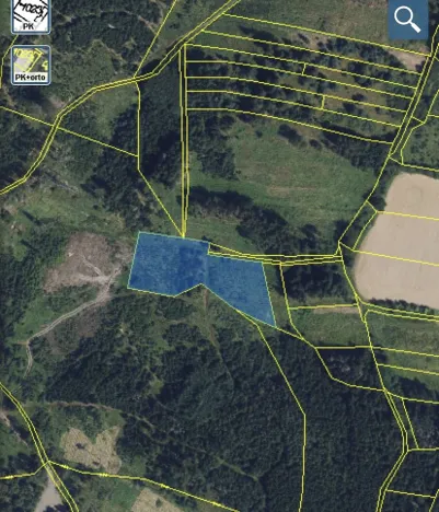 Prodej lesa, Městečko Trnávka - Lázy, 6313 m2