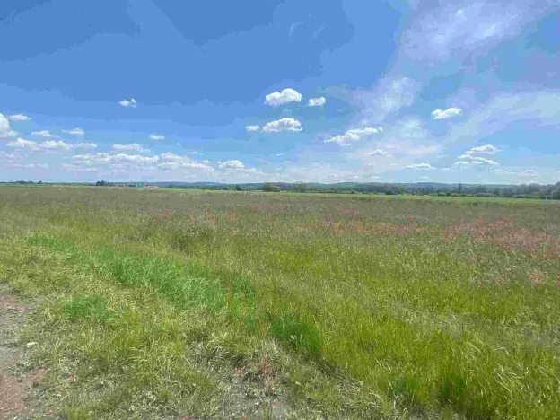 Prodej pozemku, Kravaře, 2873 m2