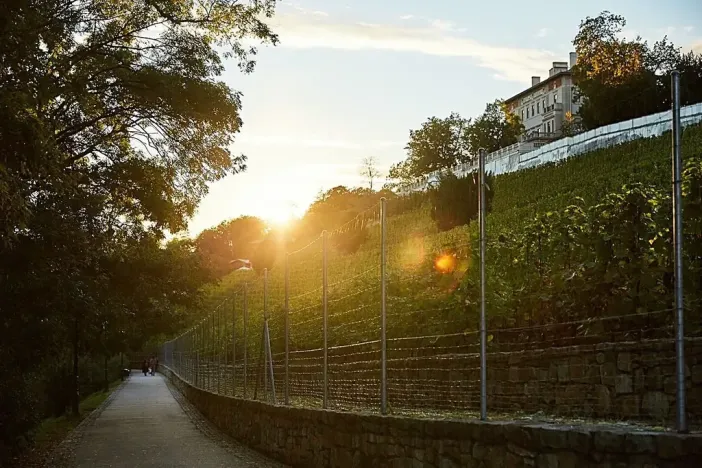 Prodej bytu 2+kk, Praha - Nusle, Bělehradská, 52 m2