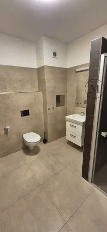 Pronájem bytu 1+kk, České Budějovice, Skuherského, 45 m2