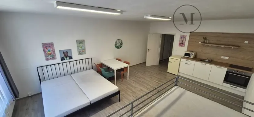 Pronájem bytu 1+kk, České Budějovice, Skuherského, 45 m2