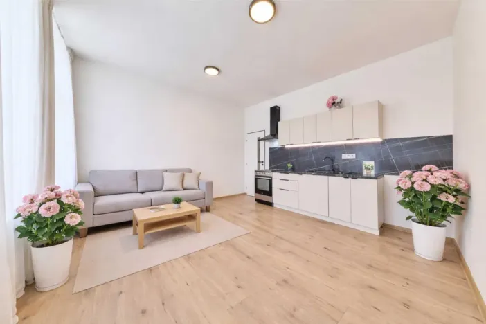 Prodej bytu 2+kk, Trutnov - Horní Staré Město, Horská, 45 m2