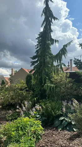 Prodej rodinného domu, Líský, 250 m2