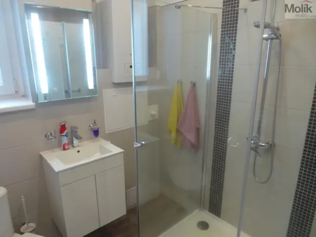 Pronájem bytu 2+1, Litvínov - Chudeřín, Tyrše a Fügnera, 47 m2