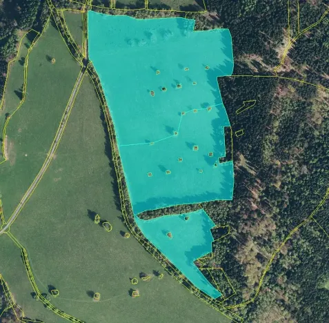 Prodej louky, Branná, 570000 m2