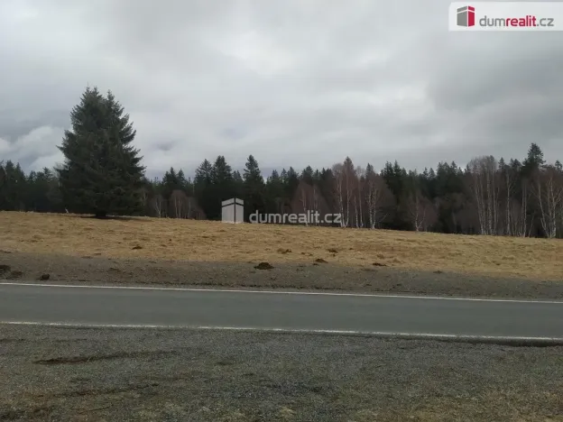 Prodej louky, Horská Kvilda, 1321 m2