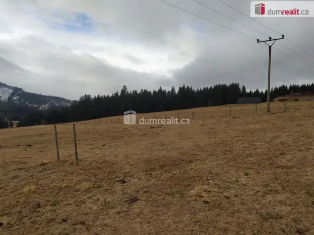 Prodej louky, Horská Kvilda, 1321 m2