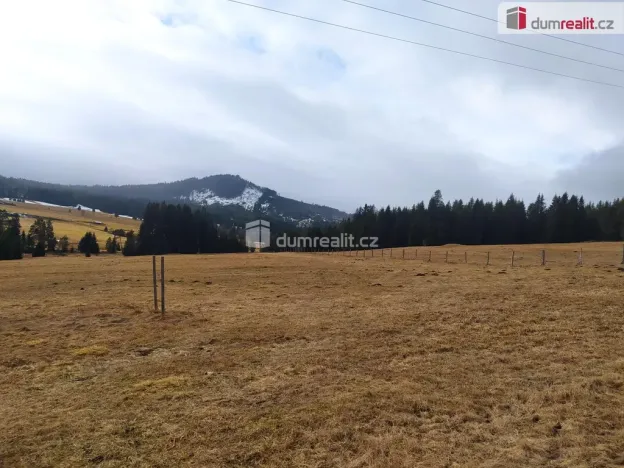 Prodej louky, Horská Kvilda, 1321 m2