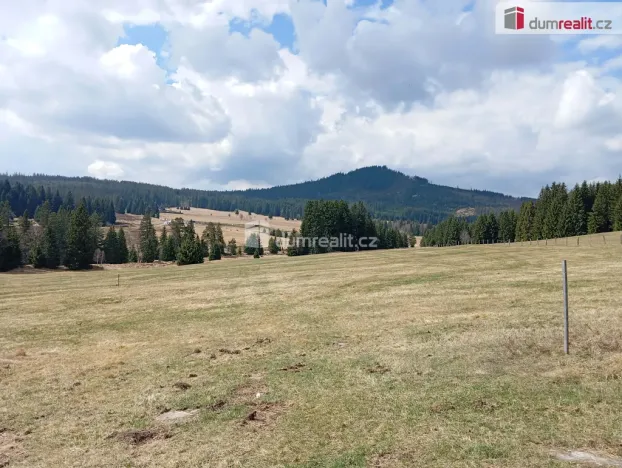 Prodej louky, Horská Kvilda, 1321 m2