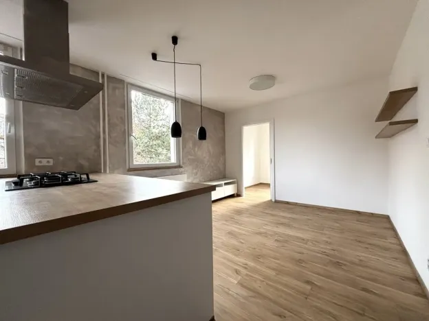 Pronájem bytu 3+kk, Plzeň - Severní Předměstí, Elišky Krásnohorské, 67 m2