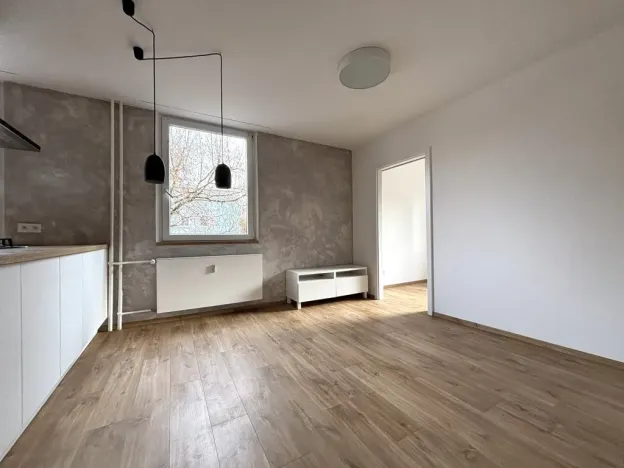 Pronájem bytu 3+kk, Plzeň - Severní Předměstí, Elišky Krásnohorské, 67 m2