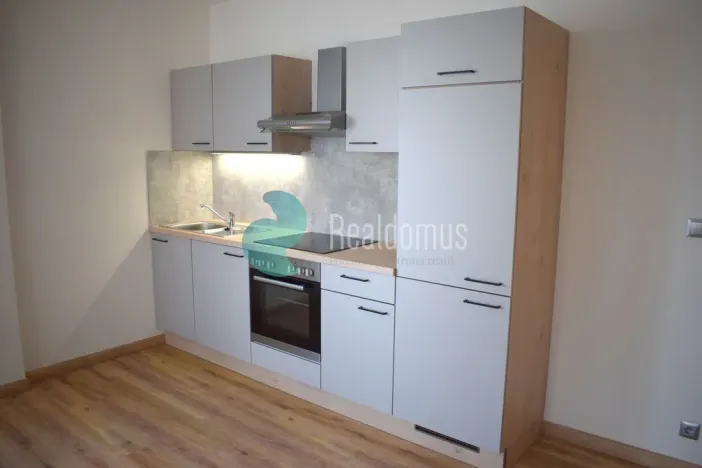 Pronájem bytu 1+kk, České Budějovice, České Vrbné, 43 m2