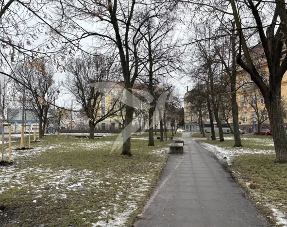 Prodej bytu 2+kk, Plzeň, Karlova, 51 m2