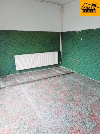 Pronájem obchodního prostoru, Olomouc, 45 m2