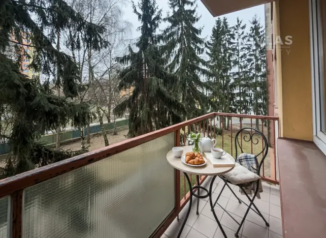 Prodej bytu 2+1, České Budějovice, Plzeňská, 50 m2