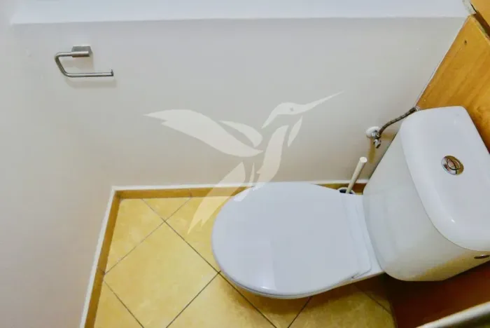 Pronájem bytu 2+1, Plzeň, Sokolovská, 63 m2