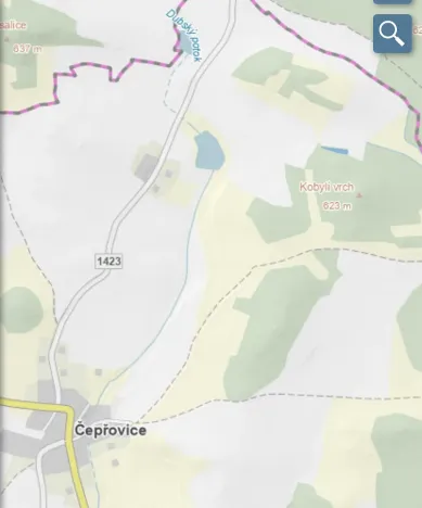 Prodej lesa, Čepřovice, 982 m2