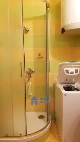 Pronájem bytu 1+1, Luže, Družstevní, 42 m2