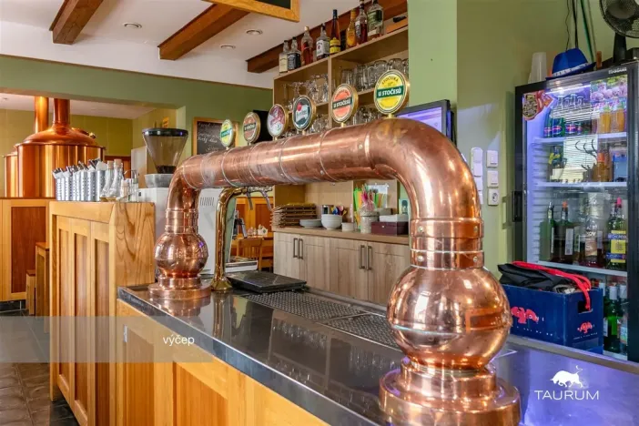 Prodej restaurace, Rokycany - Plzeňské Předměstí, Sokolská, 413 m2