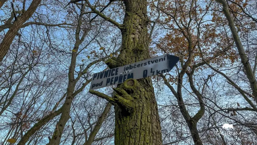 Prodej pozemku, Jílové u Prahy, 3438 m2