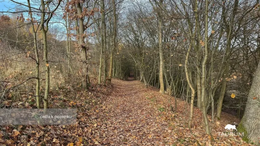 Prodej pozemku, Jílové u Prahy, 3438 m2